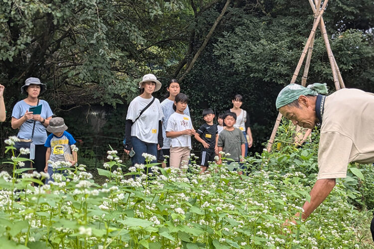 第432回 霧島里山自然学校 でした！