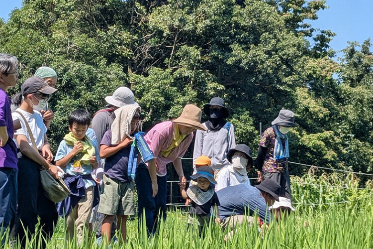 第444回 霧島里山自然学校 でした！