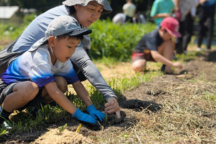 第445回 霧島里山自然学校 でした！