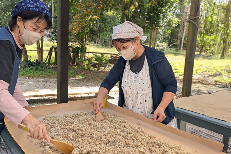 第210回 霧島たべもの伝承塾「金木犀のころ味噌仕込み」