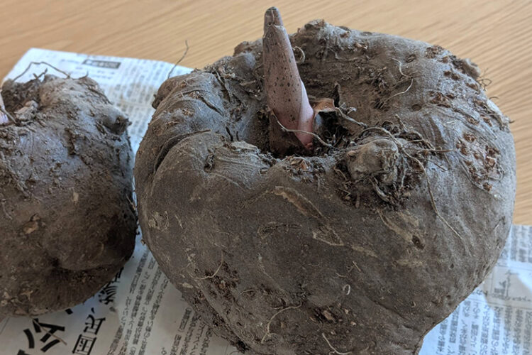 第211回「霧島たべもの伝承塾」でした！