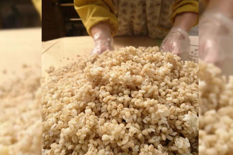 3/29 昔のやり方で作る｢麦みそ｣仕込み講座 参加者募集！