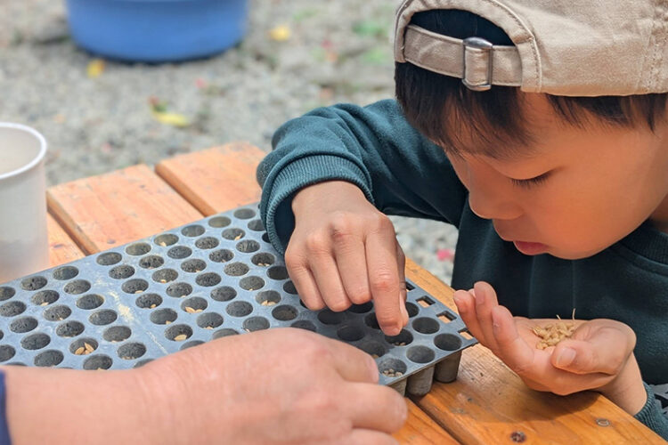 第456回 霧島里山自然学校 でした！