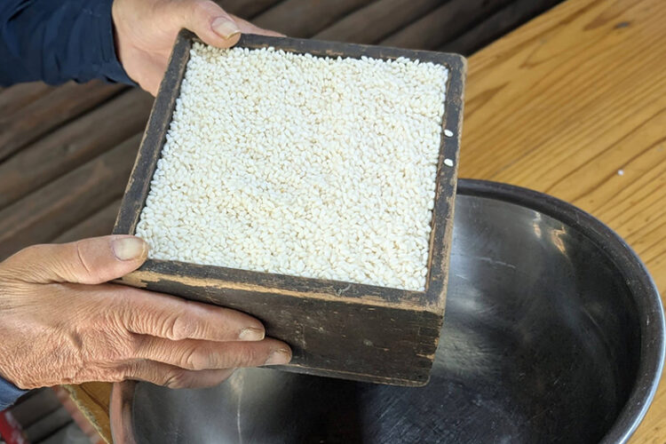 「あくまき全部講座」2日目でした