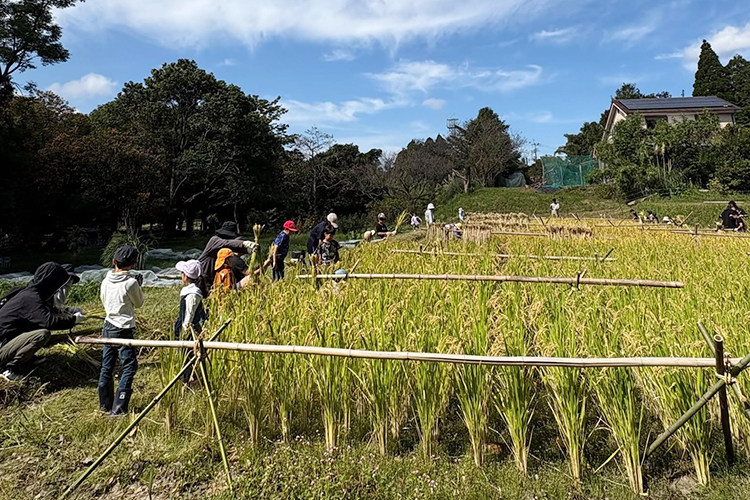 第465回・466回 霧島里山自然学校でした！